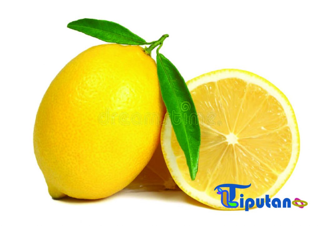 Lemon ramuan turun berat badan 20 kg - TribunLiputan