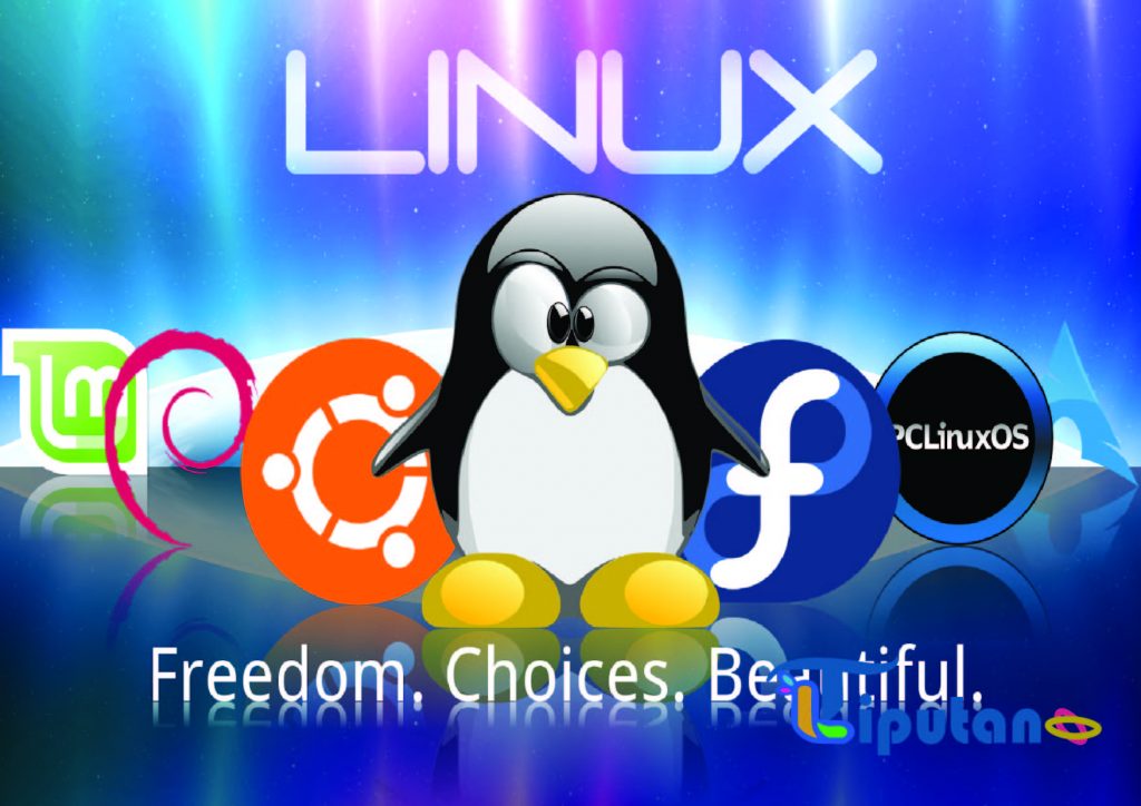 Linux OS Fungsi dari perangkat lunak aplikasi adalah - TribunLiputan