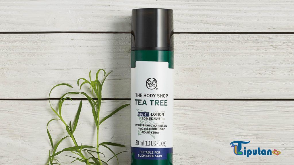 Tea Tree Night Lotion - Facial wash untuk menghilangkan bekas jerawat - TribunLiputan