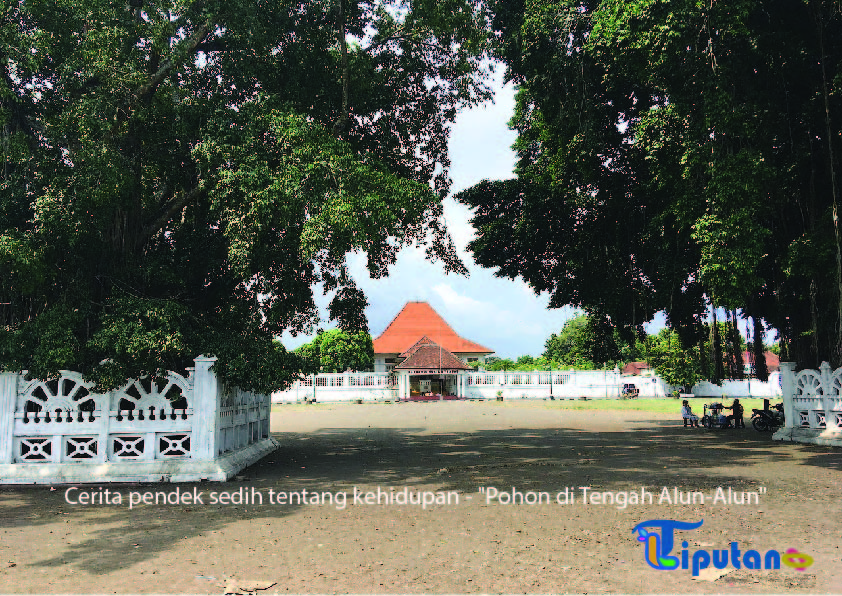 Cerita pendek sedih tentang kehidupan (Pohon di Tengah Alun-Alun) - TribunLiputan