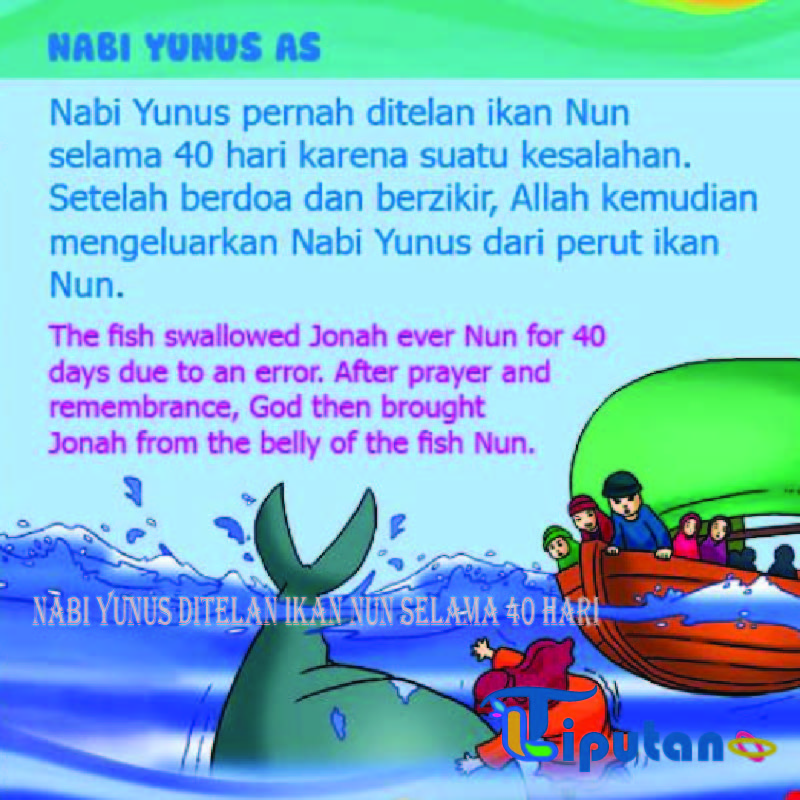 kisah nabi yunus dan ikan paus - Tribunliputan