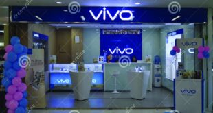 Promo Discount Vivo Festivo 2021