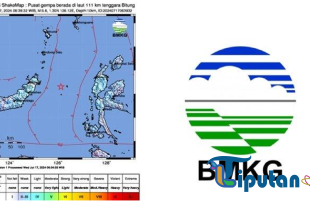 Gempa Bitung Sulawesi Utara Pagi Ini M 5.6, BMKG: Gempa Terkini Terasa di Manado hingga Ternate