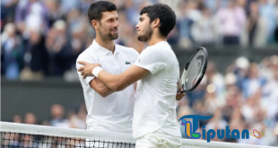 Novak Djokovic Membidik Balas Dendam Melawan Carlos Alcaraz di Final Wimbledon