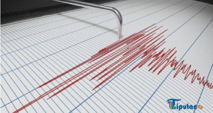 Gempa Magnitudo 6,2 Guncang Tanimbar, Terasa hingga Babar Timur