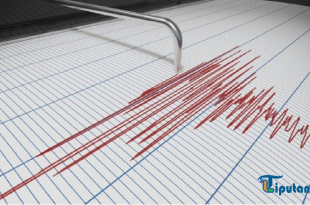 Gempa Magnitudo 6,2 Guncang Tanimbar, Terasa hingga Babar Timur