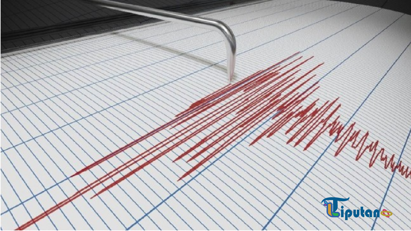 Gempa Magnitudo 6,2 Guncang Tanimbar, Terasa hingga Babar Timur