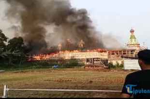 Kebakaran di Taman Bunga Celosia Kabupaten Semarang, Kerugian Capai Rp 1 Miliar