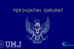 Peringatan Darurat Garuda Biru: Awal Kemunculan dan Artinya