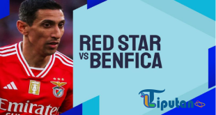 Prediksi Red Star Belgrade vs Benfica - 19 September 2024: Laga Seru di Fase Grup Liga Champions