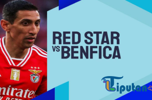 Prediksi Red Star Belgrade vs Benfica - 19 September 2024: Laga Seru di Fase Grup Liga Champions