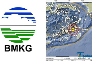 Gempa Berkekuatan Magnitudo 4,6 Guncang Maluku Tenggara Barat