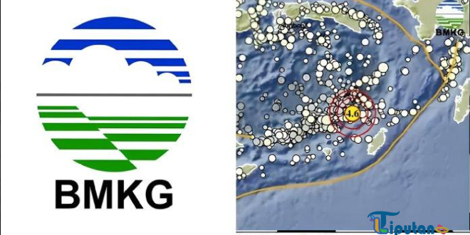 Gempa Berkekuatan Magnitudo 4,6 Guncang Maluku Tenggara Barat