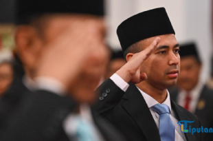 Perbedaan Tugas Utusan Khusus Raffi Ahmad dan Stafsus Presiden