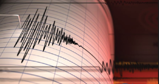 Gempa Jepang M 6,8, Peringatan Tsunami di Miyazaki dan Kochi