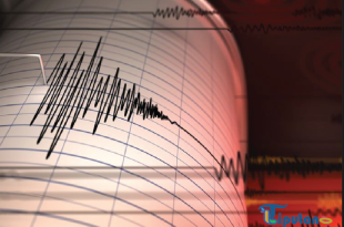 Gempa Jepang M 6,8, Peringatan Tsunami di Miyazaki dan Kochi