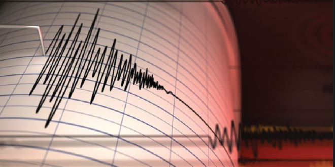 Gempa Jepang M 6,8, Peringatan Tsunami di Miyazaki dan Kochi