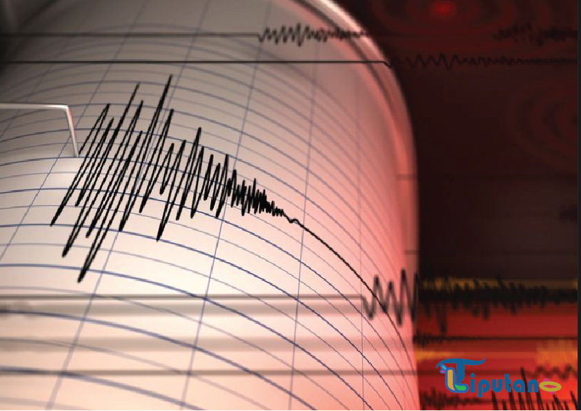 Gempa Jepang M 6,8, Peringatan Tsunami di Miyazaki dan Kochi