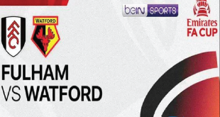 Prediksi Skor Fulham vs Watford FA Cup 2025, Jumat 10 Januari 2025 Pukul 02.45 WIB, Link Live Streaming