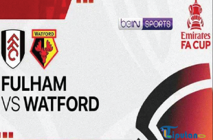 Prediksi Skor Fulham vs Watford FA Cup 2025, Jumat 10 Januari 2025 Pukul 02.45 WIB, Link Live Streaming